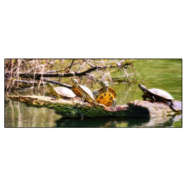 PHOTO84, CLUB, 84 , LUBERON